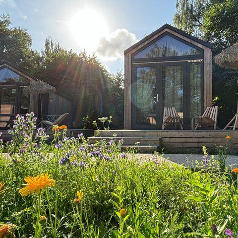 Urban Gardens Gent - East Flanders - Image N°6