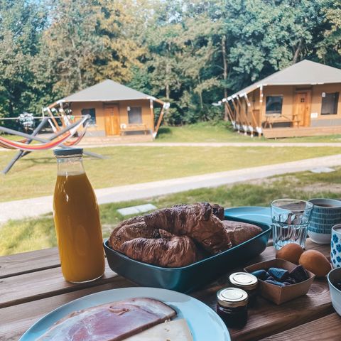 Urban Gardens Gent - East Flanders - Image N°5