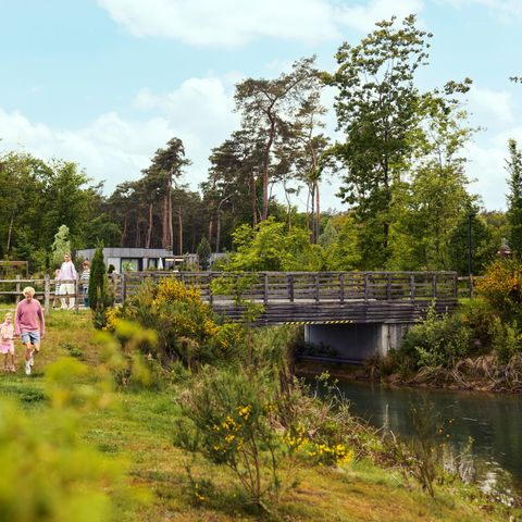 Terhills Resort by Center Parcs - Belgian Limburg - Image N°6