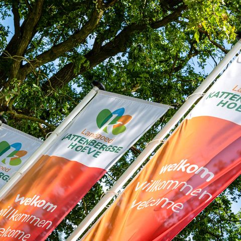 Mooi Twente lodges - Camping Hof von Twente - Image N°6