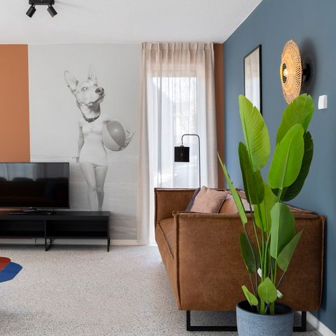 HOUSE 10 people - Duinzicht Pet-friendly