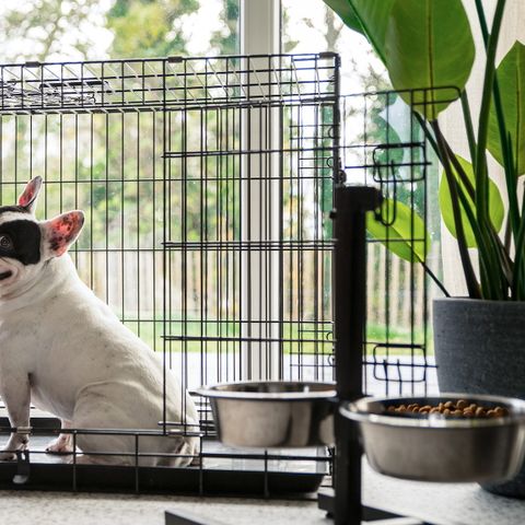 HOUSE 6 people - Dune Grass Pet-friendly