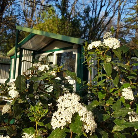 CHALET 5 people - Eco 2 bedrooms