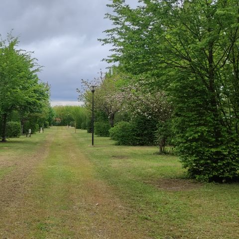 Camping le Petit Bocage - Camping Vendée - Image N°3