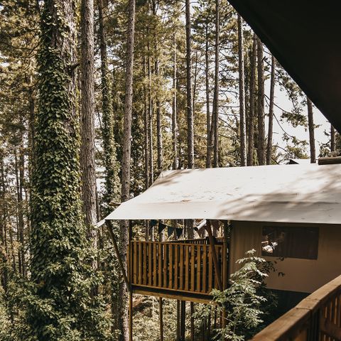 CANVAS AND WOOD TENT 4 people - including sanitary facilities