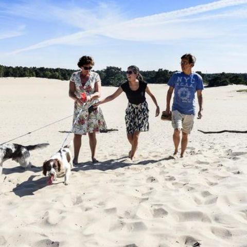 TopParken Résidence Lage Vuursche - Camping Baarn - Image N°6