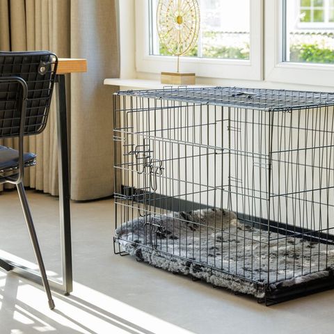 Bungalow 6 persons - Dogs Comfort