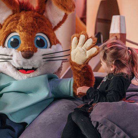 Landal Ferienresort Cochem - Rhineland-Palatinate - Image N°4