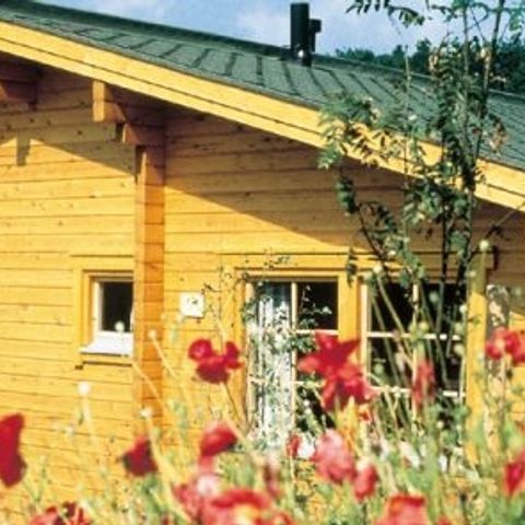 Werrapark Resort Ferienhausanlage am Sommerberg - Camping Thuringia - Image N°4