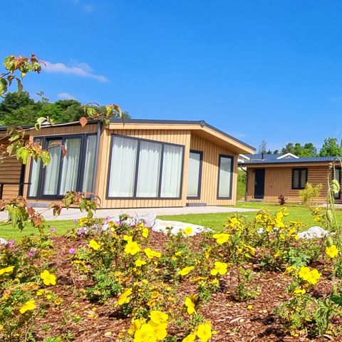 Camping & Ferienpark Brilon - Camping North Rhine-Westphalia - Image N°4