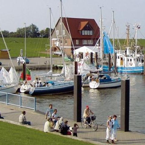 Ferienpark Am Meer Burhave - Camping Lower Saxony - Image N°2