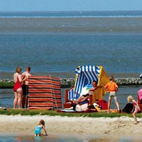Ferienpark Am Meer Burhave - Camping Lower Saxony - Image N°6