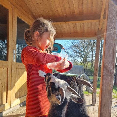 Ferienhof Brockzetel - Lower Saxony - Image N°5