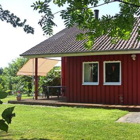 Ferienpark Extertal - Camping North Rhine-Westphalia - Image N°4