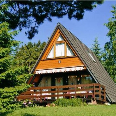 Ferienpark Tennenbronn - Camping Baden-Württemberg - Image N°2
