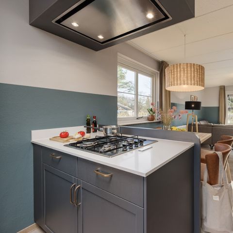 BUNGALOW 4 people - VIP HE2632