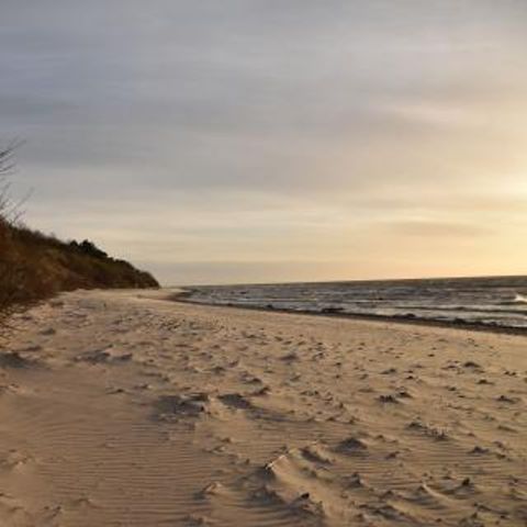 FYNNUS Feriendorf Am Bakenberg - Camping Mecklenburg-Western Pomerania - Image N°3