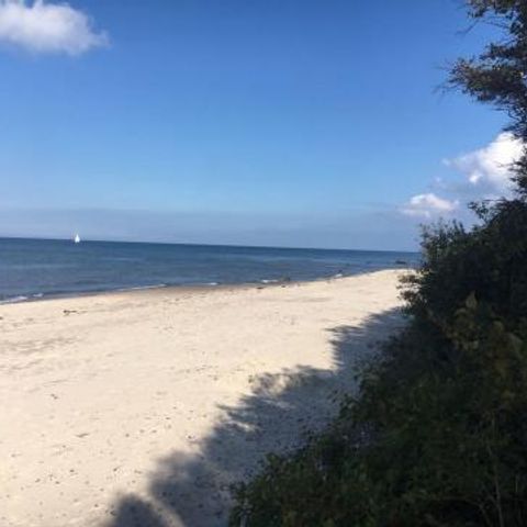 FYNNUS Feriendorf Am Bakenberg - Camping Mecklenburg-Western Pomerania - Image N°2
