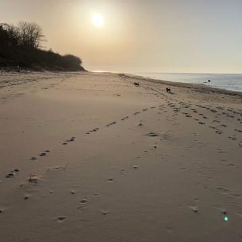 FYNNUS Feriendorf Am Bakenberg - Camping Mecklenburg-Western Pomerania - Image N°5
