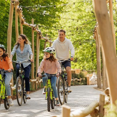 Center Parcs Park Eifel - Camping Rhineland-Palatinate - Image N°5