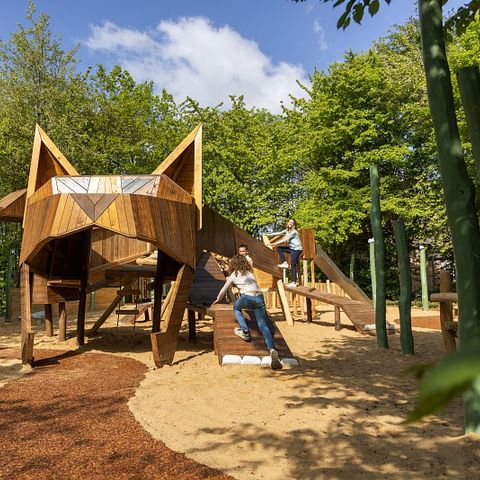 Center Parcs Park Eifel - Camping Rhineland-Palatinate - Image N°4