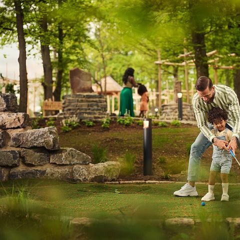 Center Parcs Park Eifel - Rhineland-Palatinate - Image N°4