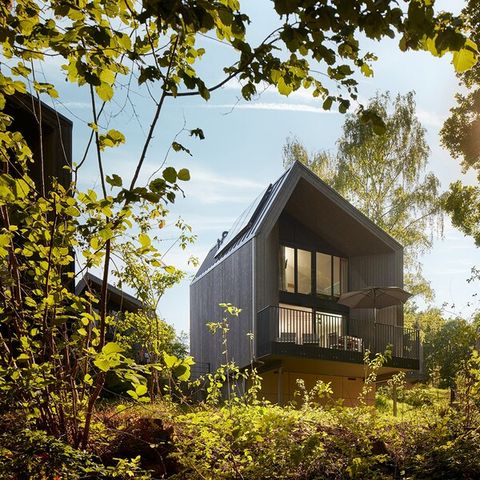 Center Parcs Park Eifel - Rhineland-Palatinate - Image N°5