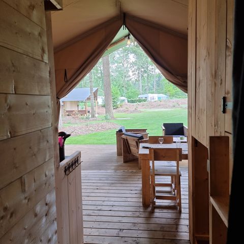 Canvas and wooden tent 6 persons - including sanitary facilities