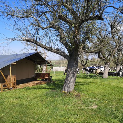 Canvas and wooden tent 4 persons