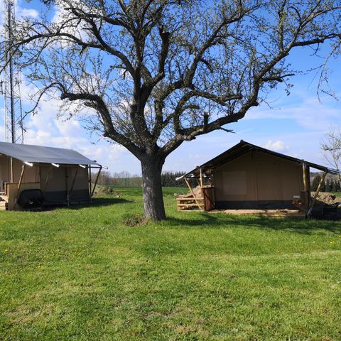 Canvas and wooden tent 4 persons
