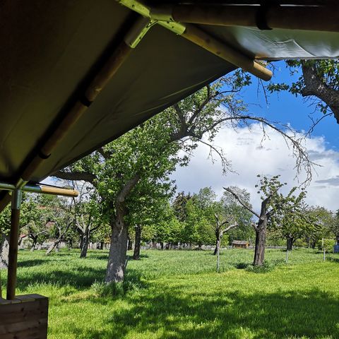 Canvas and wooden tent 4 persons