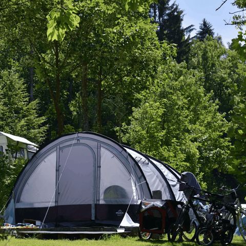 EuroParcs Biggesee - Camping North Rhine-Westphalia - Image N°5
