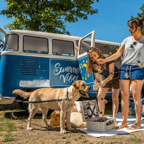 EuroParcs Biggesee - Camping North Rhine-Westphalia - Image N°4