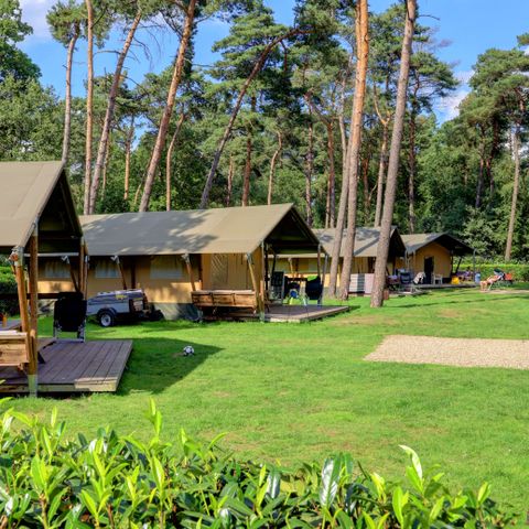 CANVAS AND WOOD TENT 6 people - including sanitary facilities