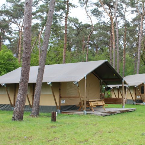 CANVAS AND WOOD TENT 6 people - including sanitary facilities