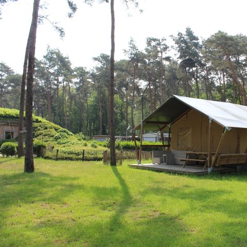CANVAS AND WOOD TENT 6 people - incl. sanitary facilities + slide