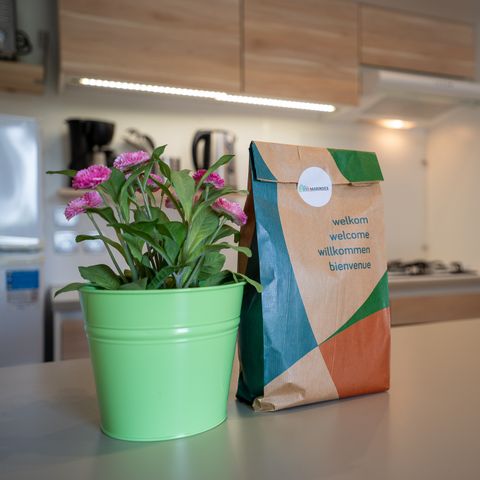 MOBILE HOME 4 people - Luxury caravan