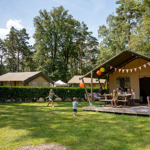 Canvas and wooden tent 6 persons - including sanitary facilities