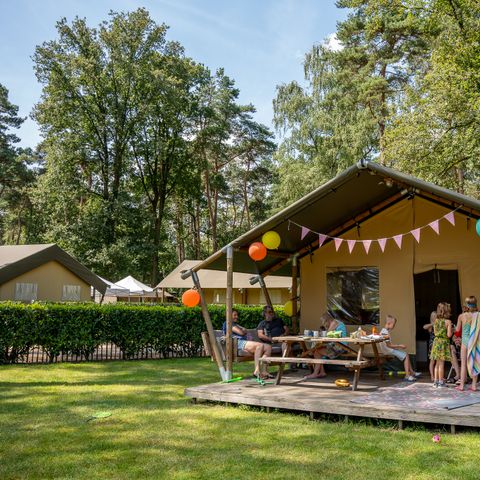 Canvas and wooden tent 6 persons - including sanitary facilities