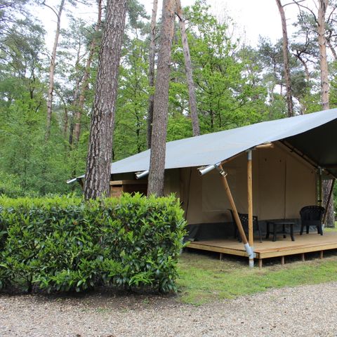 Canvas and wooden tent 4 persons - including sanitary facilities