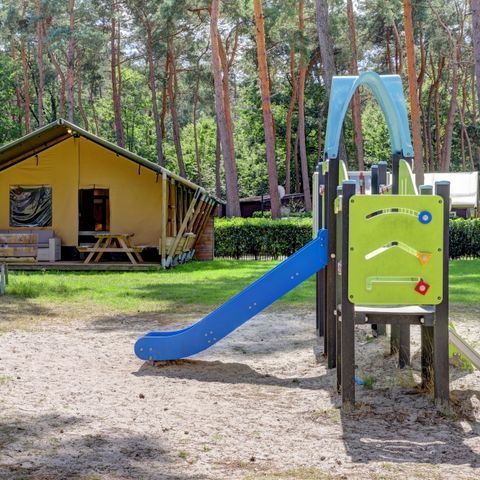 CANVAS AND WOOD TENT 6 people - incl. sanitary facilities + slide