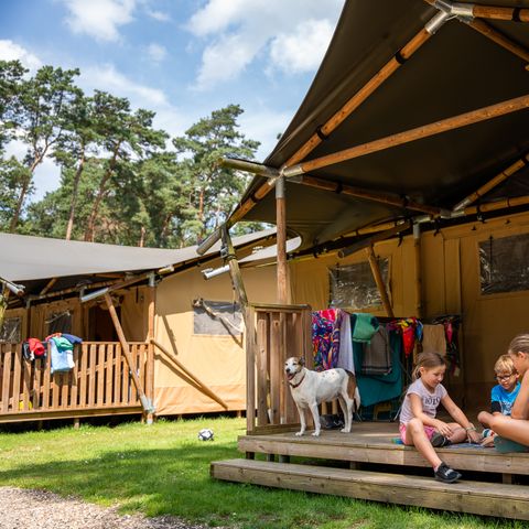 Canvas and wooden tent 5 persons - including sanitary facilities