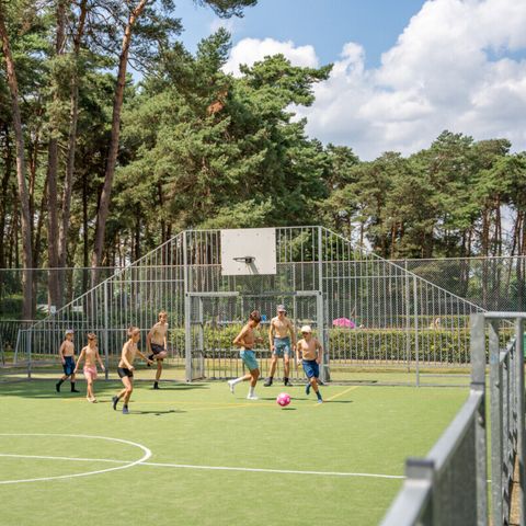 Vodatent Familiepark Goolderheide - North Rhine-Westphalia - Image N°2