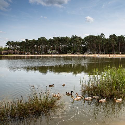 Vodatent Familiepark Goolderheide - North Rhine-Westphalia - Image N°3