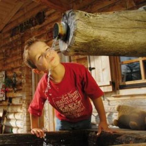 Gustocamp Camping Bella Austria - Camping Styria - Image N°5