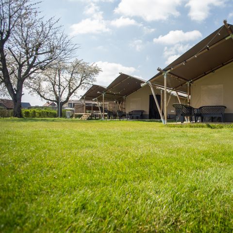 CANVAS AND WOOD TENT 6 people - premium Maaszicht