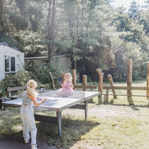 Vodatent Camping Siësta - Antwerp - Image N°3