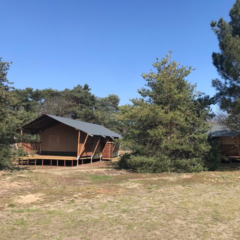 Canvas and wooden tent 6 persons - including sanitary facilities