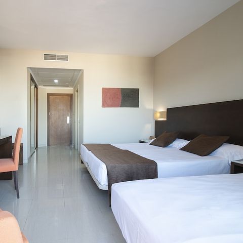 Bedroom 3 persons - Hotel room