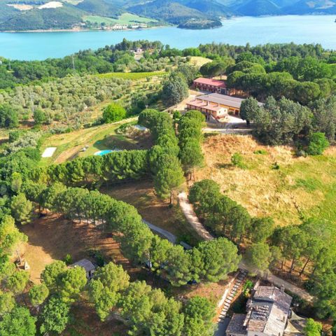 Vodatent Camping Casa & Glamping Sorriso - Terni - Image N°2